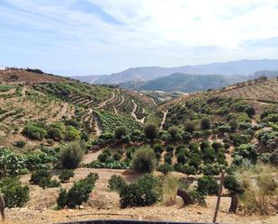 Vista exterior de Terreny en venda en Vélez-Málaga