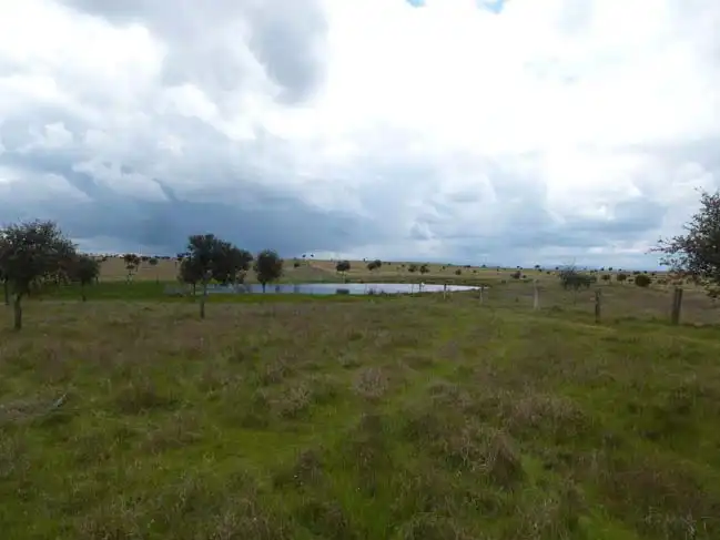 Land for sale in Talavera de la Reina