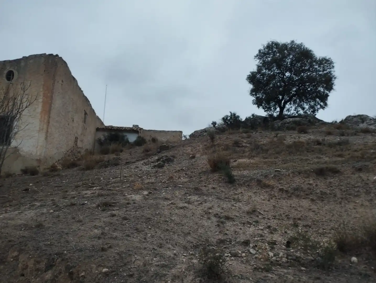 Terreno rustico in vendita a Pt Rincón de Egea - Hoya Redonda -, imagen 13