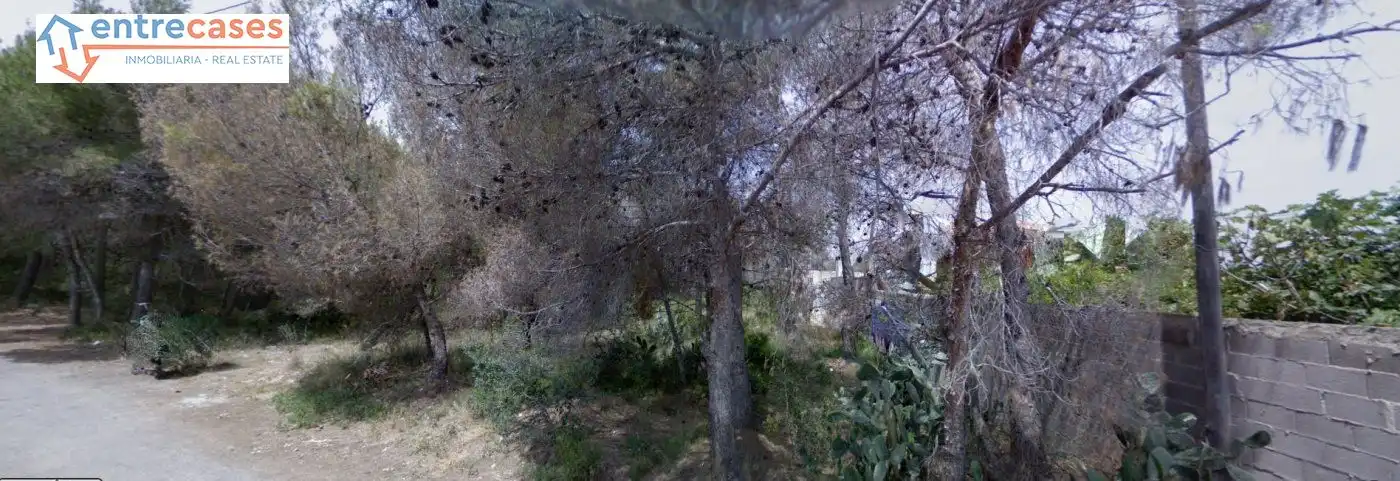 Terreni e lotti in vendita a Sagunto ciudad
