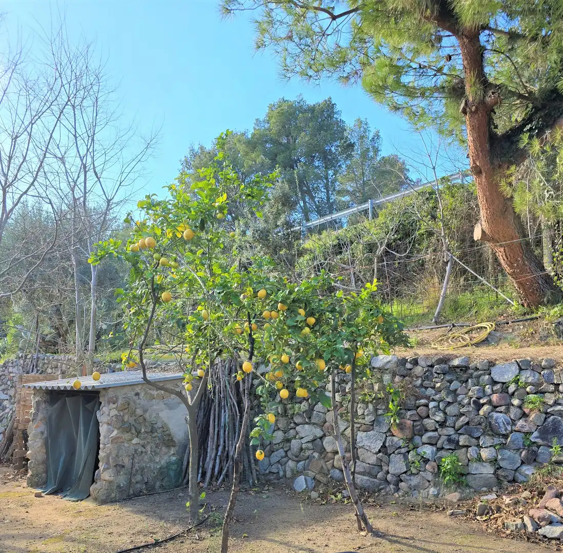 Garten von Residential zum Verkauf in L'Aleixar