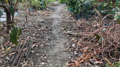 Photo 3 of Land for sale in Urbanizacion Nuevo Almayate I, Almayate, Vélez-Málaga