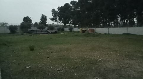 Photo 4 of Industrial land for sale in Calle Antonio Guardiola, Vergel - Las Olivas, Aranjuez