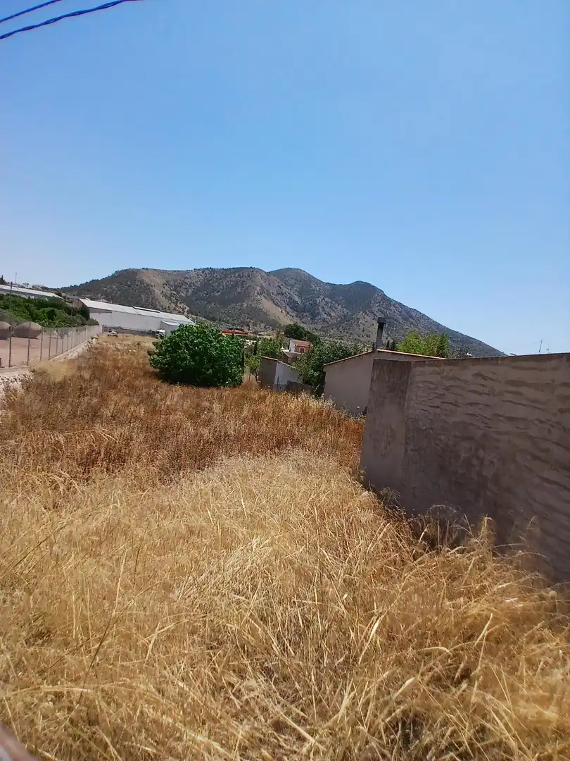 Terreny residencial en venda a Algueña, imagen 3