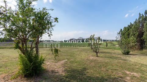 Foto 5 de Casa o xalet de lloguer a Empordanet, Pals, Girona