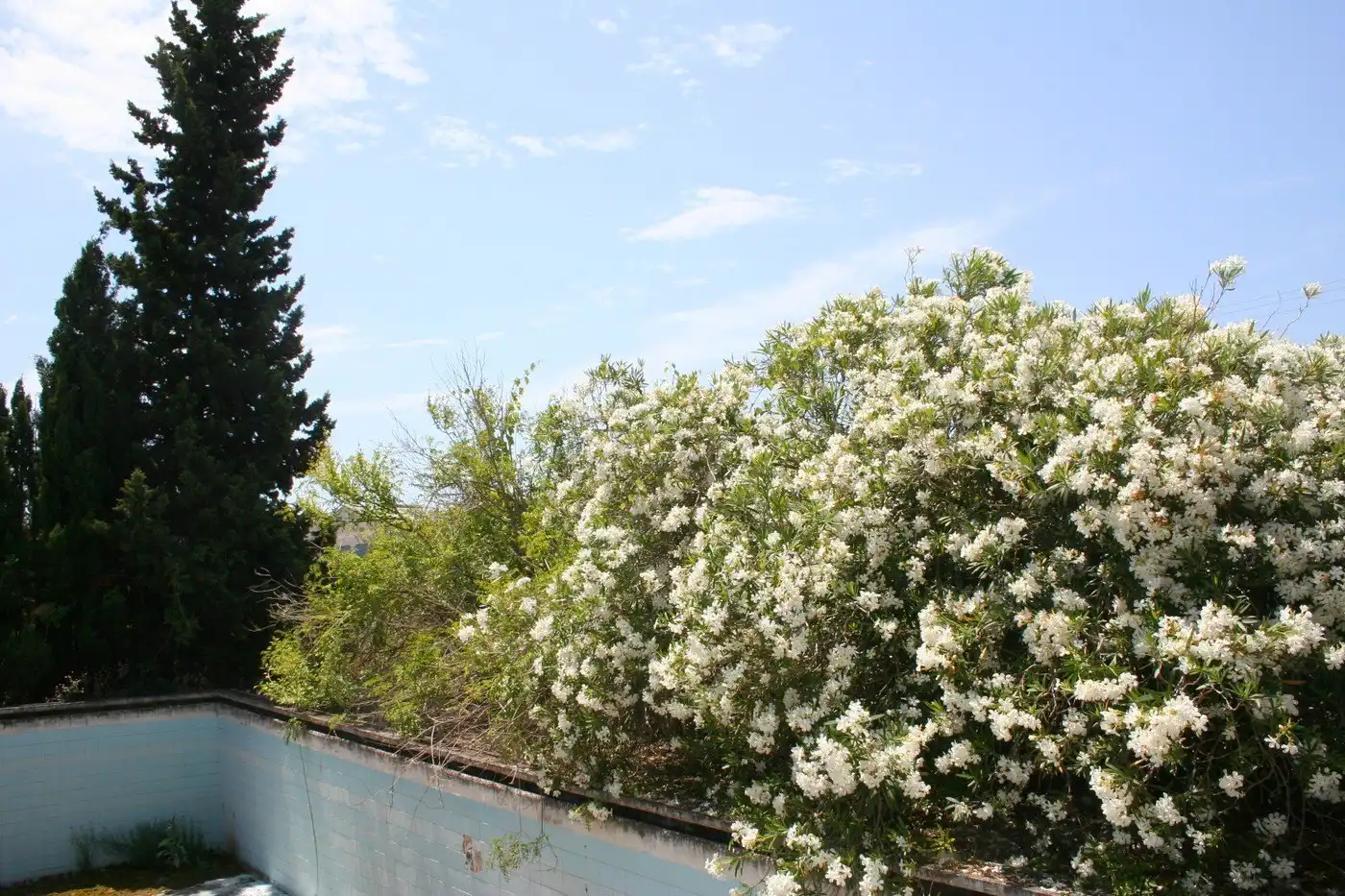 Maison rustique à vendre à Pedreguer, imagen 7
