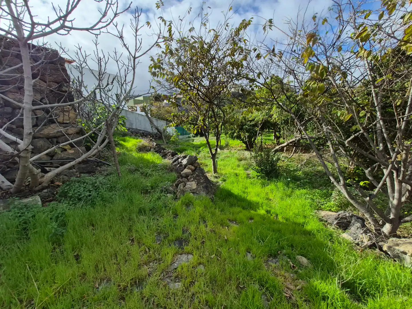 Rural land for sale in Camino la Cueva del Rey, imagen 42