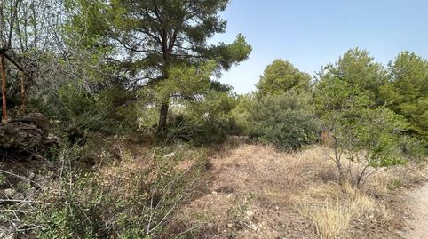 Terreno en venta en LAlcora, imagen 5