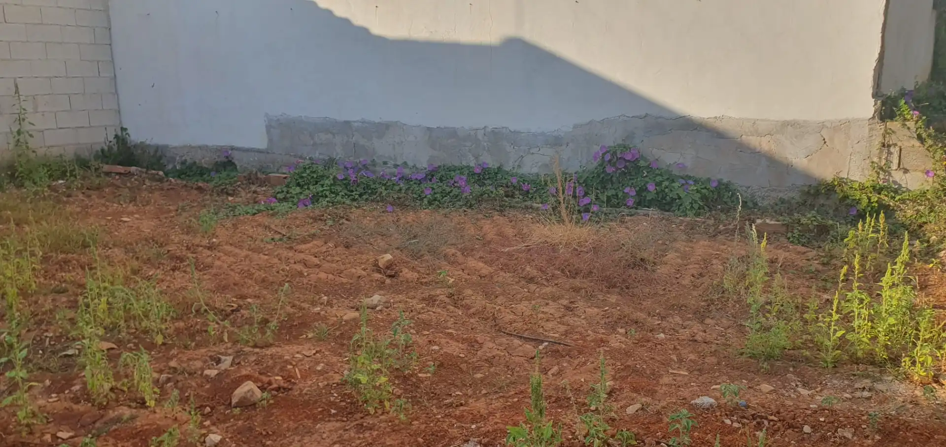 Residential land for sale in Barx, imagen 3