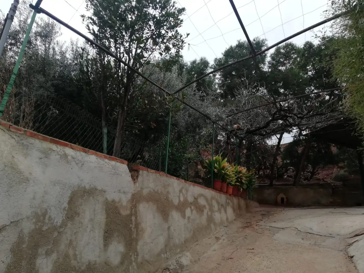 Jardín de Casa o chalet en venta en Lorca con Jardín privado, Trastero y Amueblado