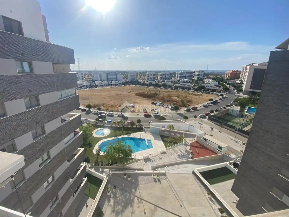 Piso con piscina en venta en Av. Manuel Clavero Arévalo, imagen 2