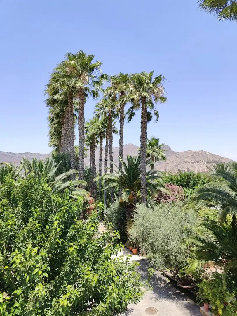 Maison rustique avec piscine à vendre à Orihuela ciudad, imagen 72