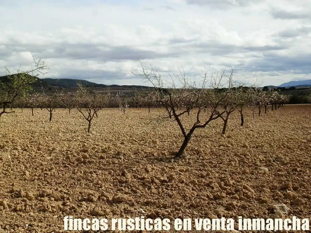 Rustikales Grundstück zum Verkauf in Cieza, imagen 16