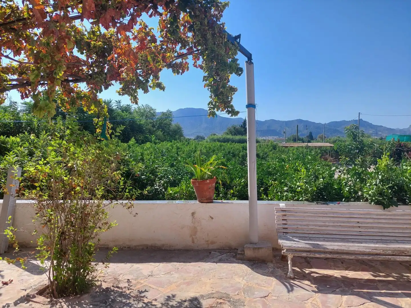 Garten von Country house zum Verkauf in Murcia mit Heizung, Privatgarten und Möbliert