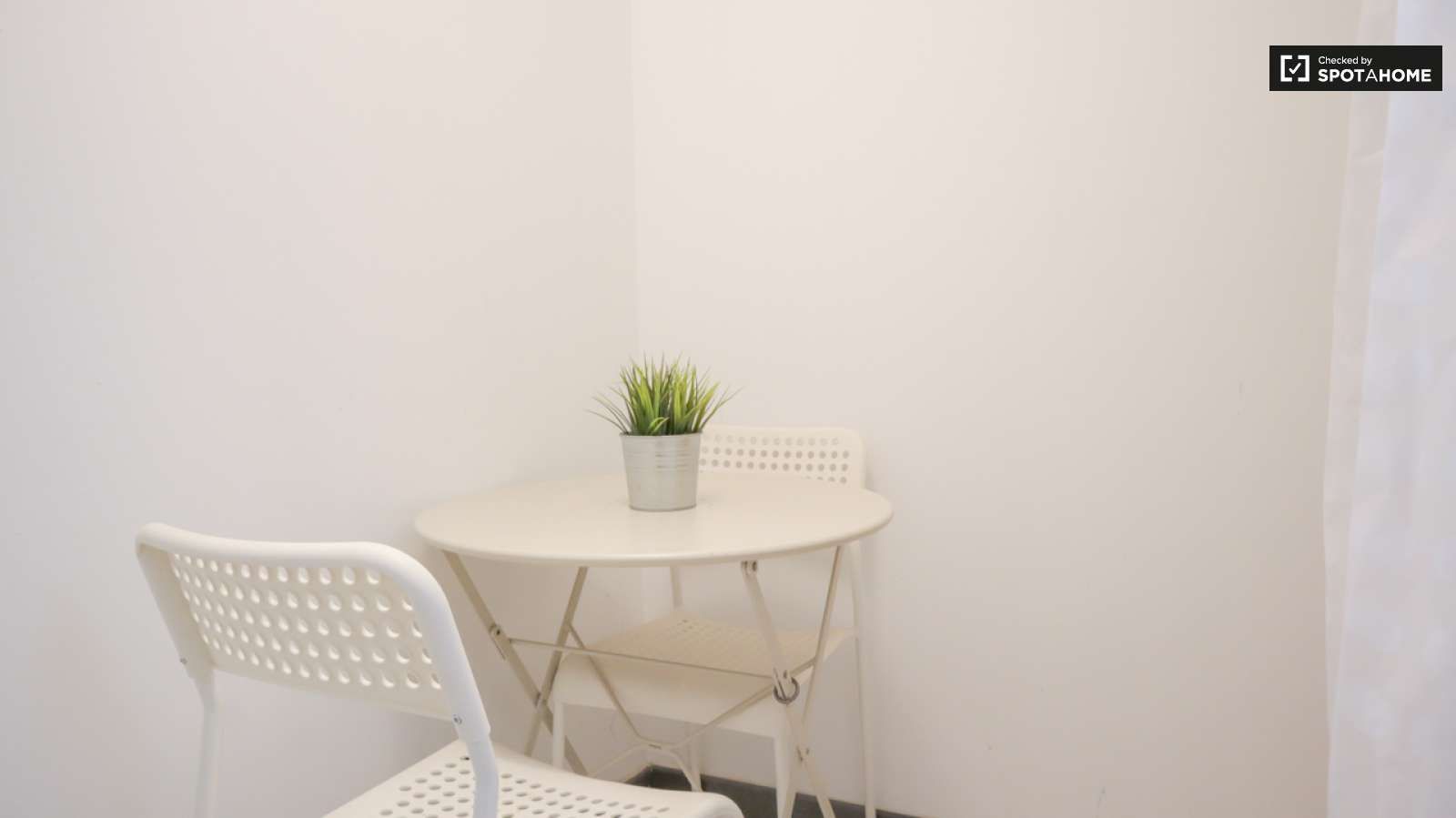 Study to share in Abrantes