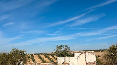 Foto 4 de Terreno en venta en Travesia de Rosales, La Montaña - El Cortijo, Aranjuez