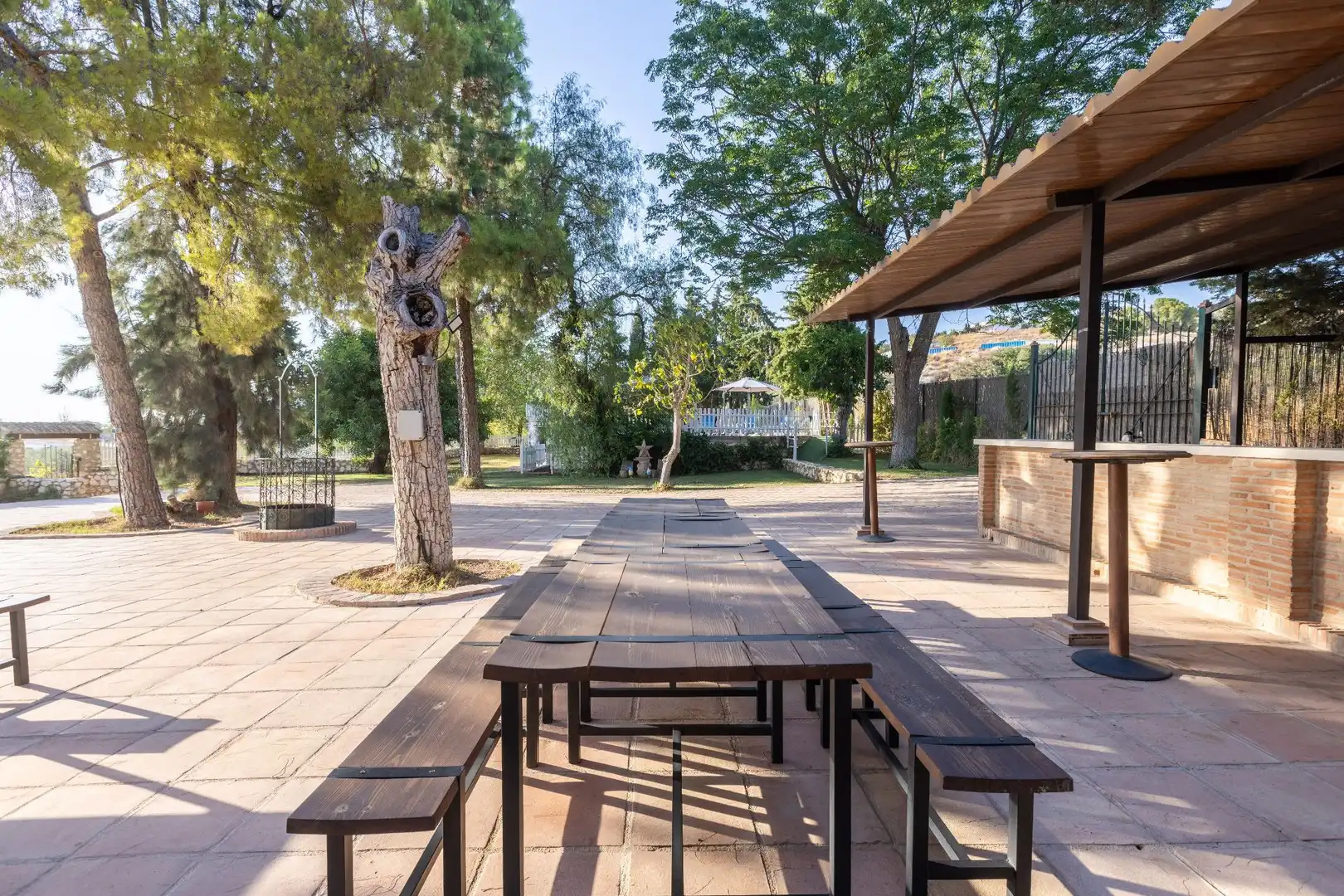 Terraza de Edificio en venta en Gilena
