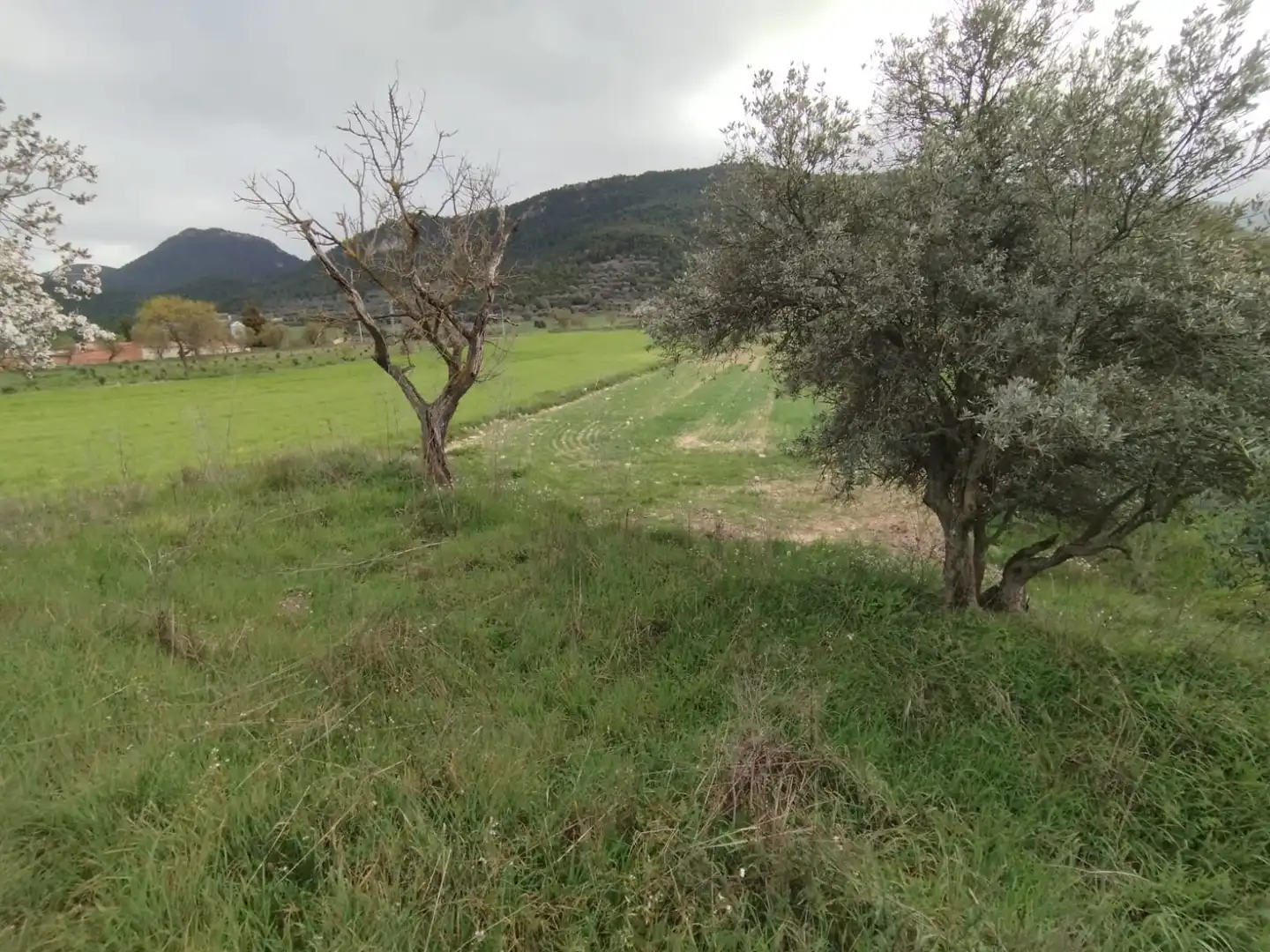 Terreni e lotti in vendita a Peñarroya de Tastavins, imagen 3