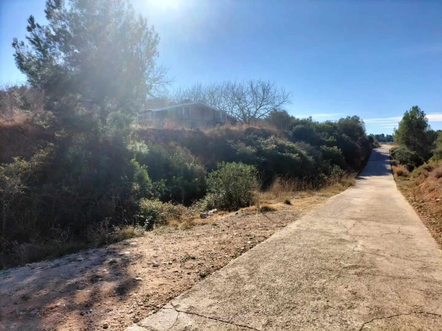 Commercial properties for sale in Navarrés