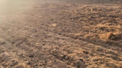 Foto 4 de Terreno en venta en Islantilla Golf, Huelva