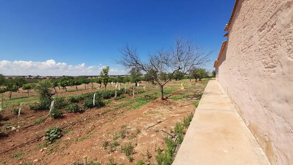 Finca rústica en venta en Munera