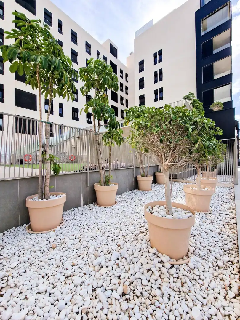 Terrassa de Pis en venda en Elche / Elx amb Aire condicionat, Calefacció i Jardí privat