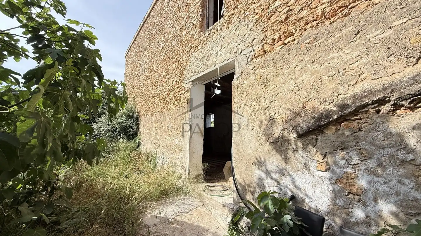 Vista exterior de Finca rústica en venda en Simat de la Valldigna amb Traster