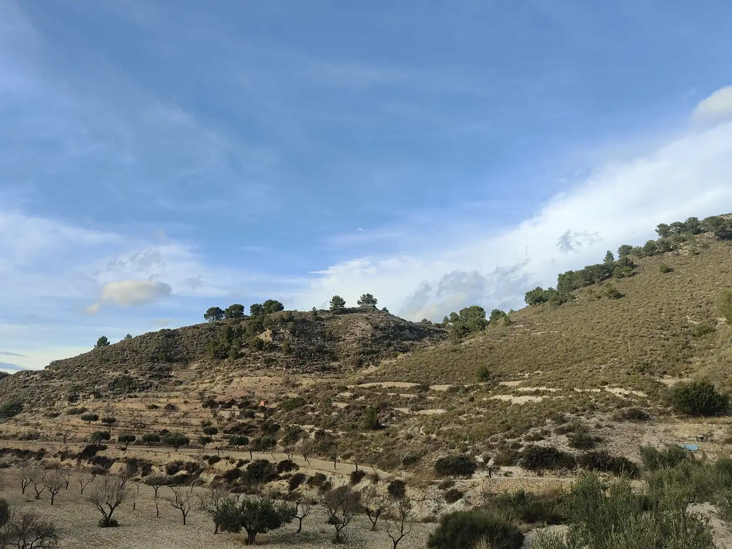 Residential land for sale in Tibi, imagen 3