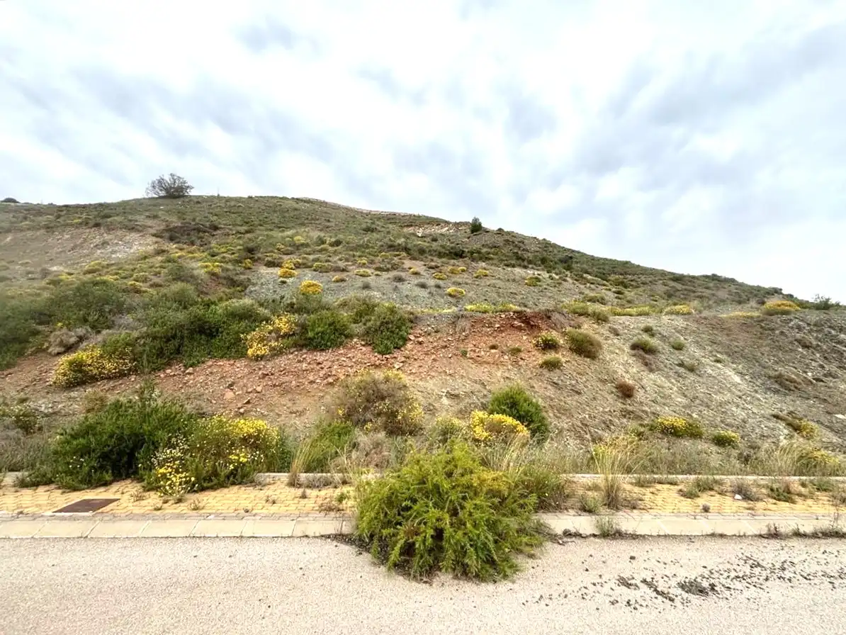 Terreni e lotti in vendita a Sierra Gorda, imagen 7