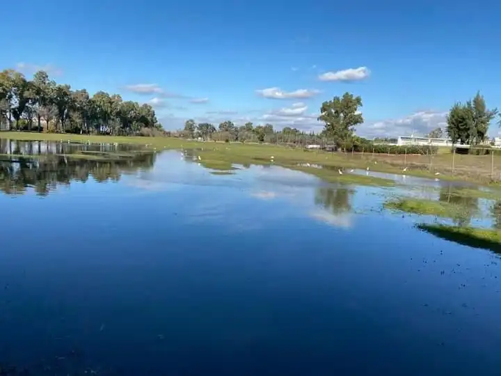 Monolocale con piscina in affitto a Este - Alcosa- Torreblanca, imagen 8