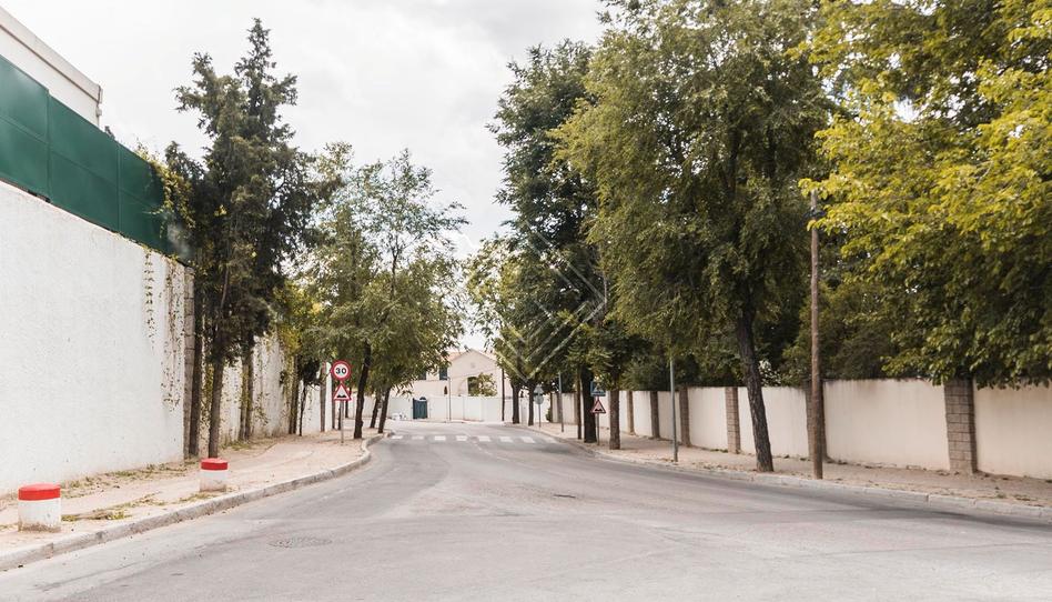 Foto 1 de Casa o chalet en venta en Ciudad Universitaria, Madrid