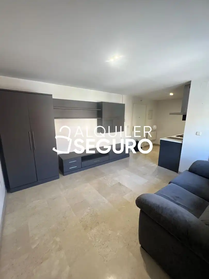 Sala de estar de Loft de alquiler en Madrid con Amueblado