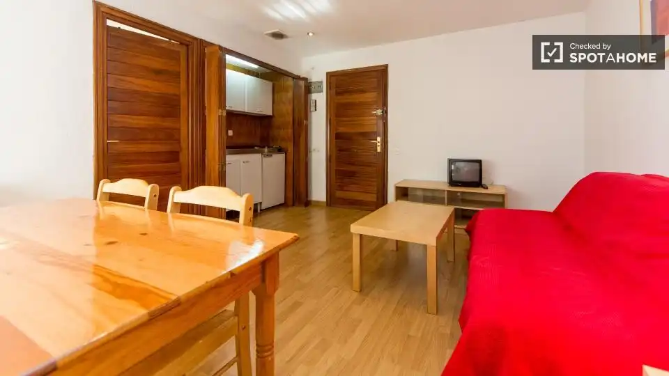 Appartement à louer à Barrio de Salamanca