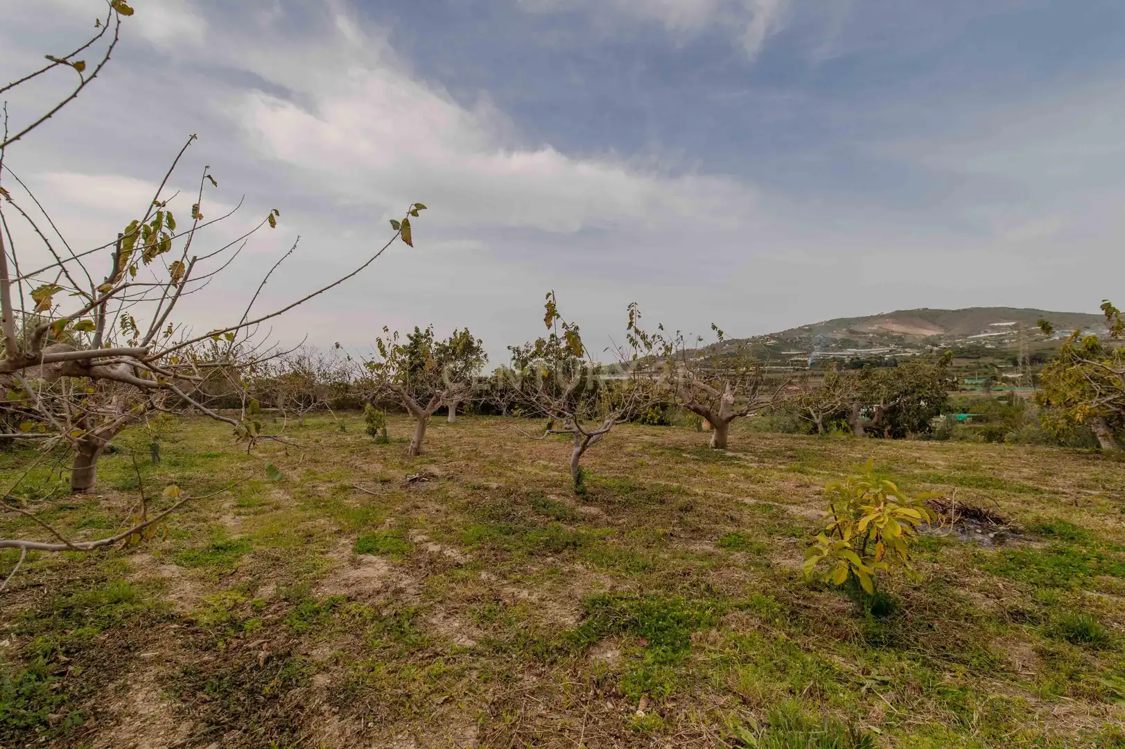Houses for sale in Salobreña  with Private garden, Storage room and Washing machine