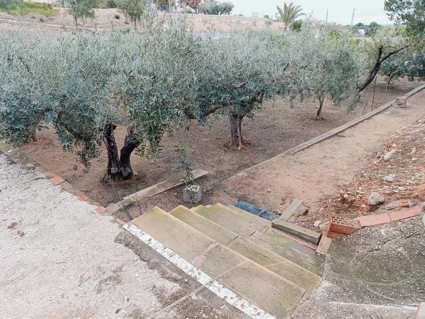 Jardí de Casa o xalet en venda en Elche / Elx amb Jardí privat, Terrassa i Traster