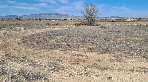 Foto 4 de Residencial en venta en Partidas Norte, Villena