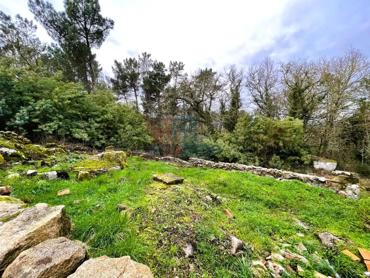 Country homes for sale in Ourense Capital   with Private garden