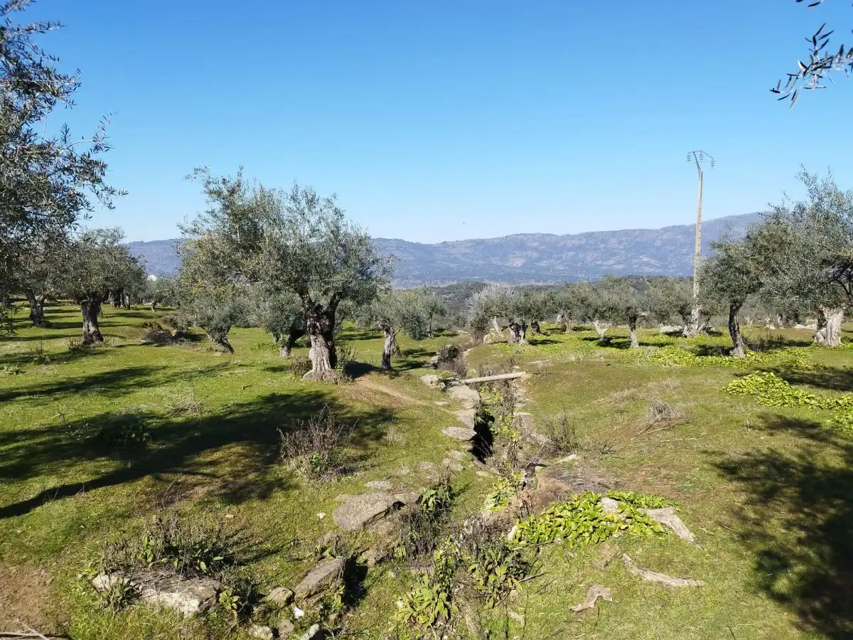 Finca rústica en venta en Plasencia con Terraza