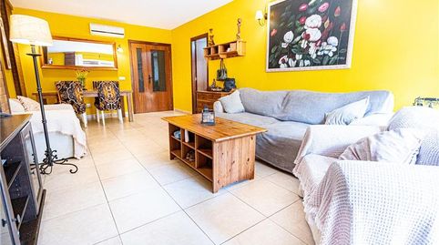 Foto 3 de Planta baja en venta en Campos poble, Campos