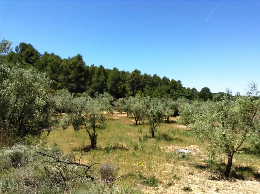 Terreni e lotti in vendita a Arens de Lledó, imagen 11