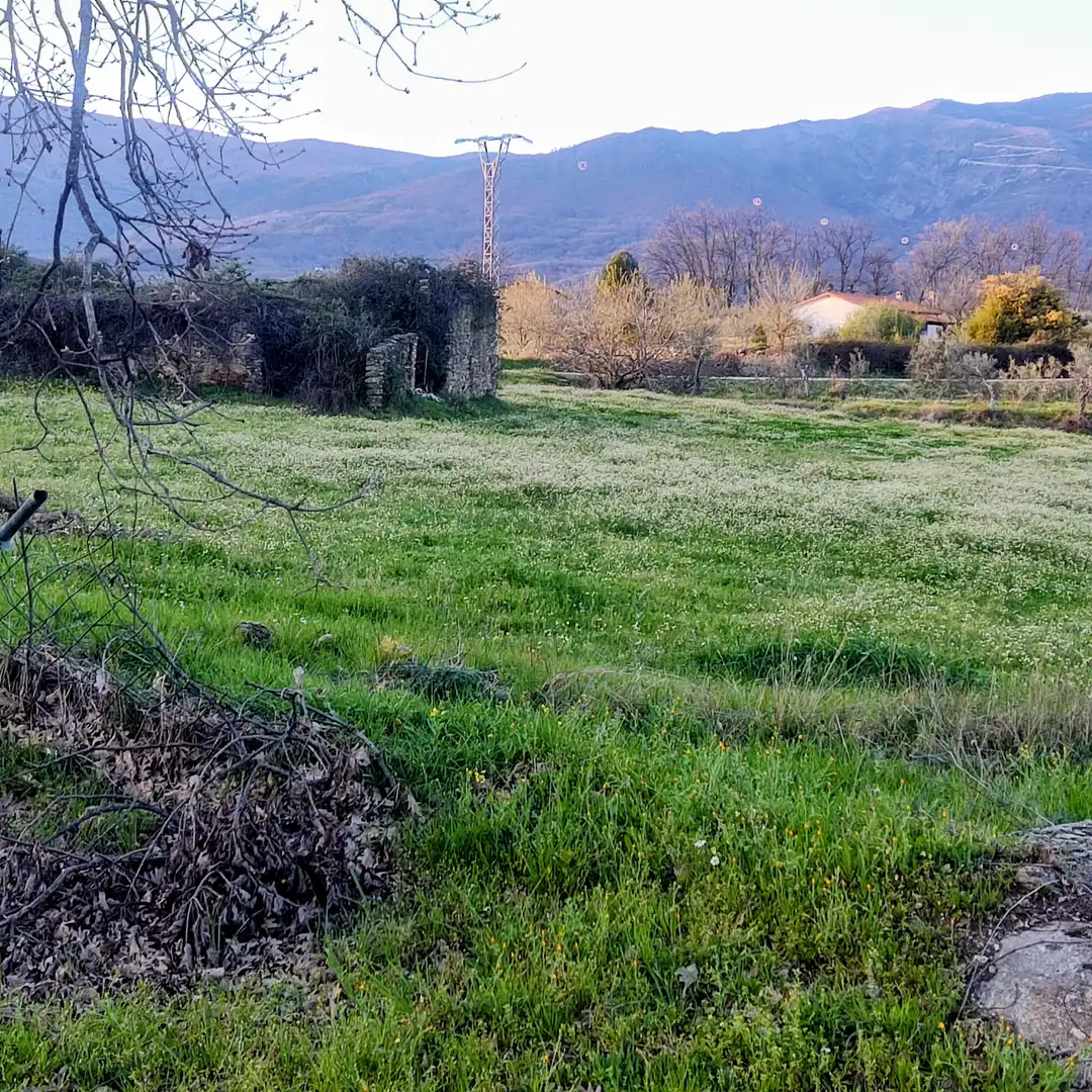 Terreni e lotti in vendita a Avenida de Doña Soledad Vega Ortiz, imagen 11