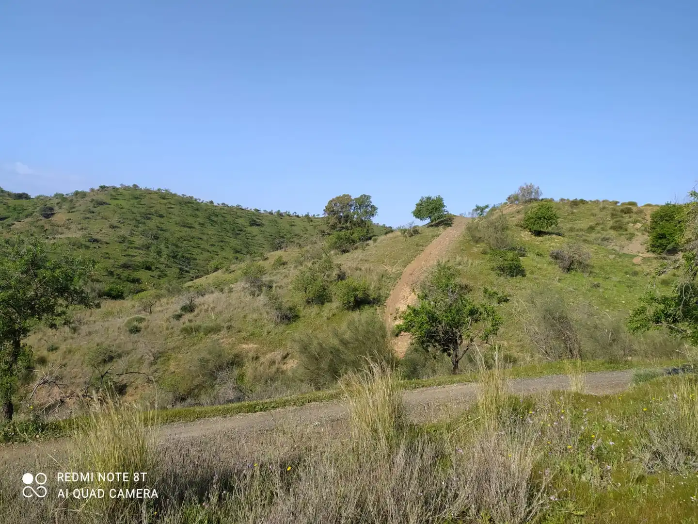 Terreno rustico in vendita a Escribano, imagen 2