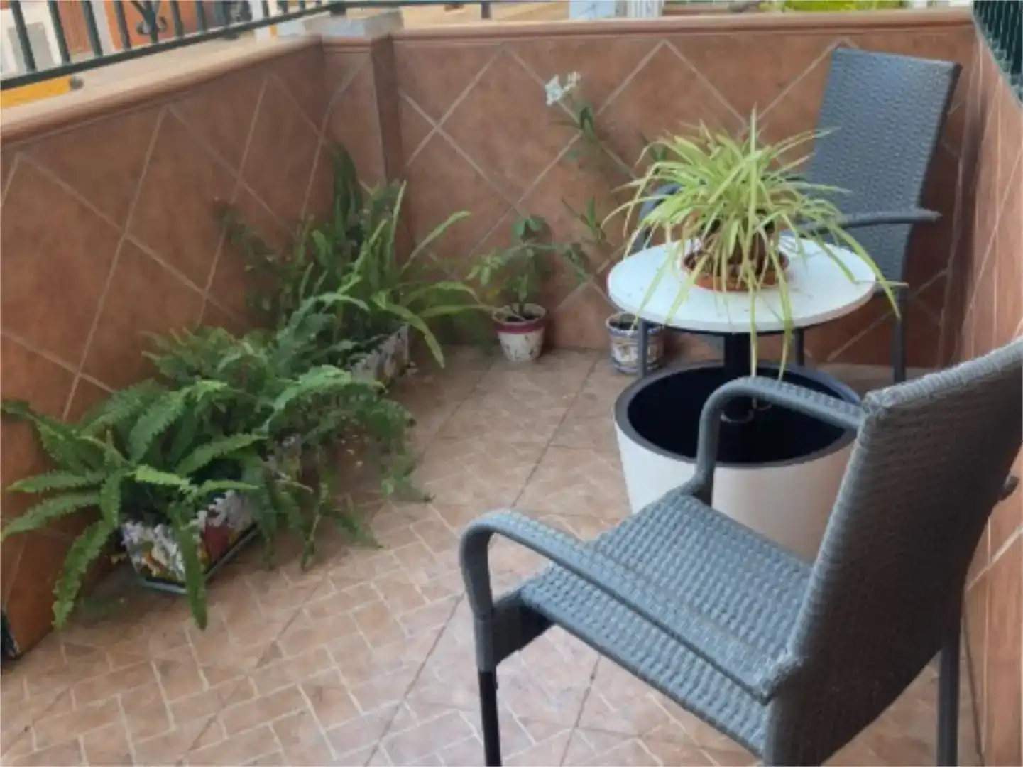 Terrasse von Wohnung zur Miete in Fuengirola