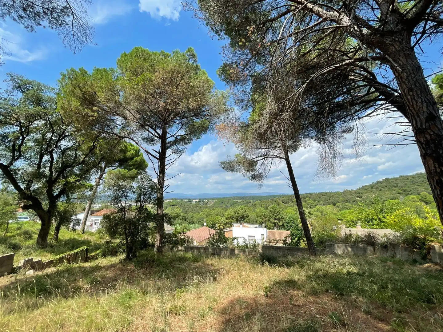 Terreno residencial en venta en Mas Mora - Sant Daniel, imagen 21
