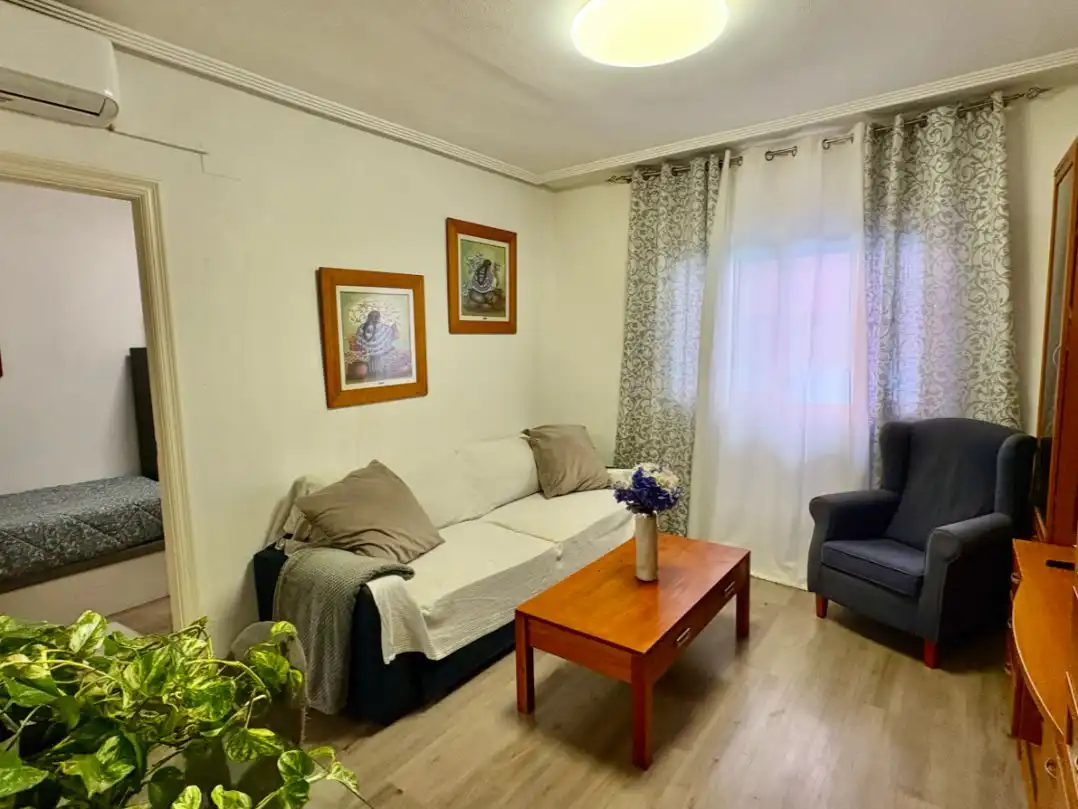 Sala d'estar de Pis en venda en Torrevieja amb Aire condicionat i Balcó