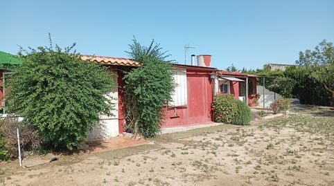 Foto 4 de Finca rústica de alquiler en Medina Sidonia, Cádiz