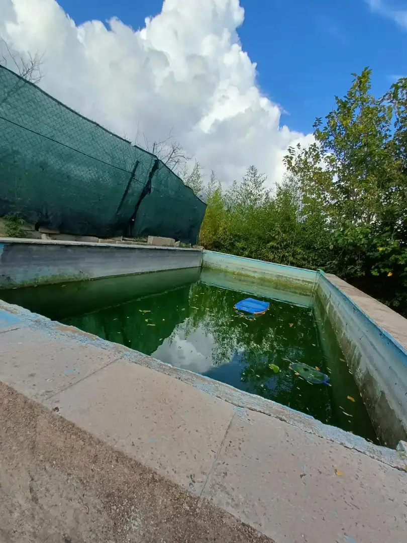 Swimming pool of Land for sale in Maspujols