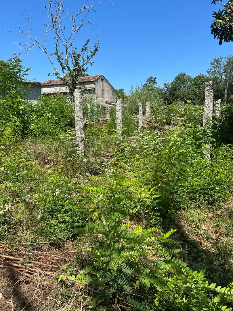 Terreno residencial en venta en Lugar a Lomba, imagen 3