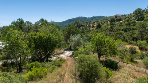 Photo 5 of Country house for sale in Son Roca, Illes Balears