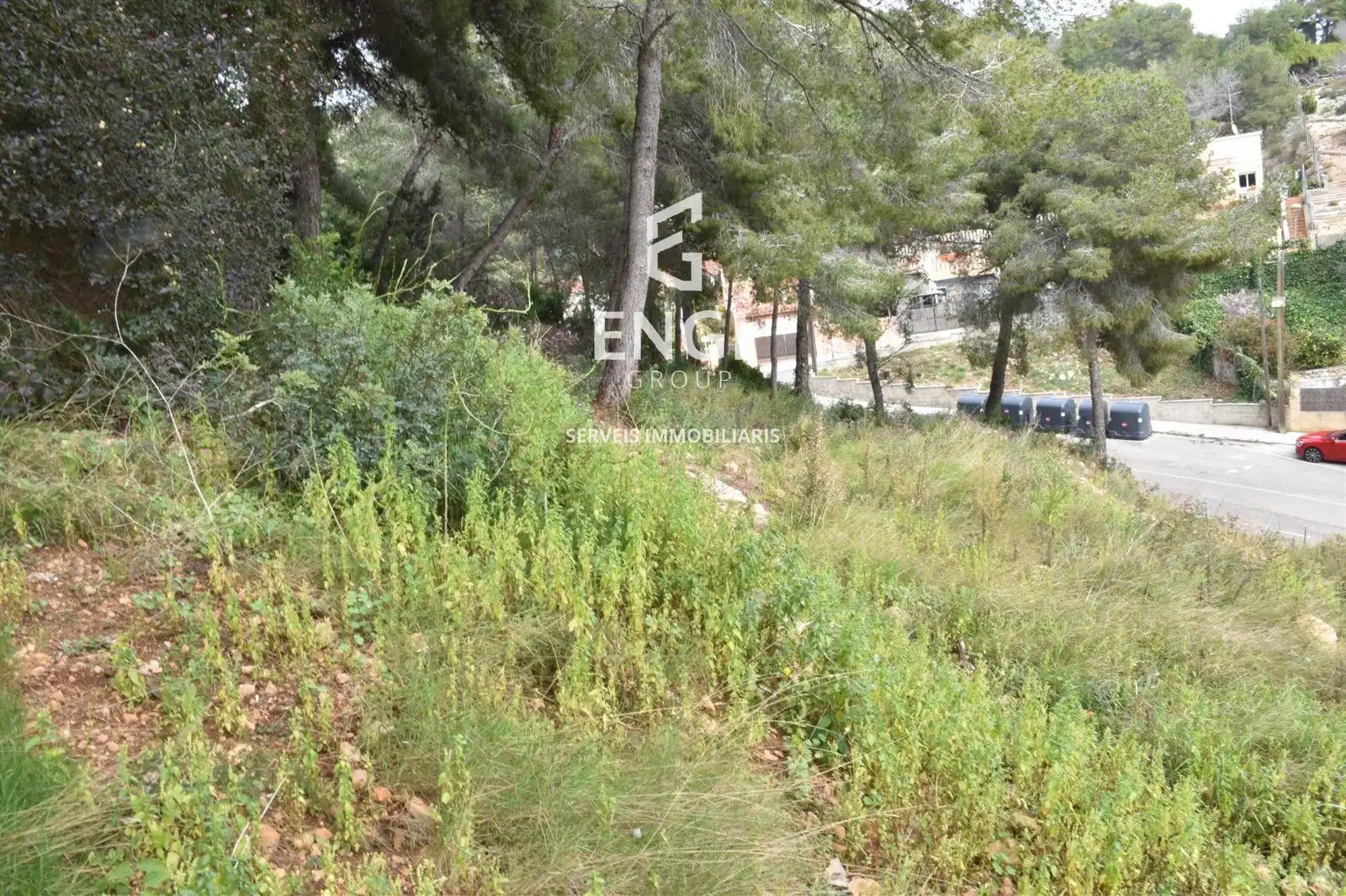 Rural land for sale in GLADIOL, imagen 5